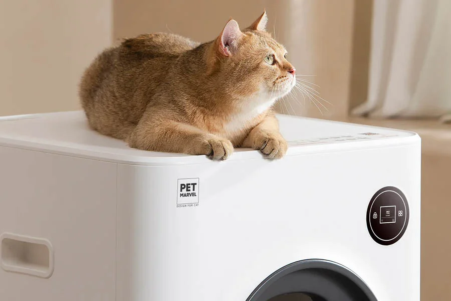 automatic kitty litter